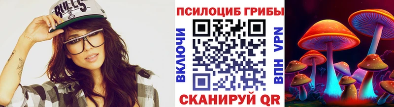 Купить закладки  Шахунья  Галлюциногенные грибы ЛСД 